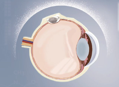 首页- k8凯发集团中国官方网站