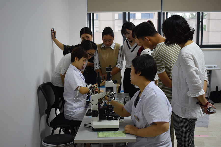 首页- k8凯发集团中国官方网站