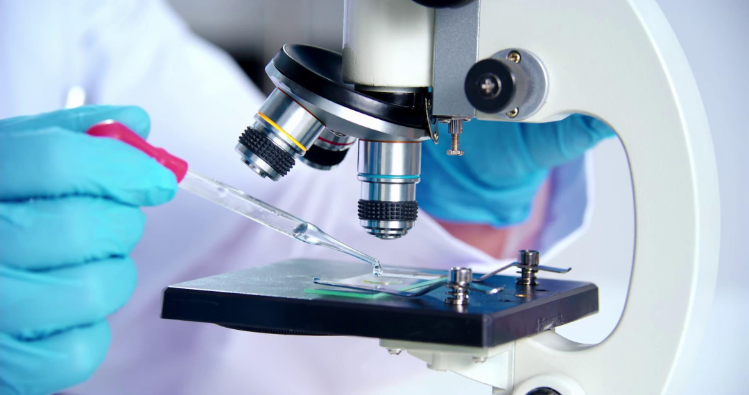 首页- k8凯发集团中国官方网站